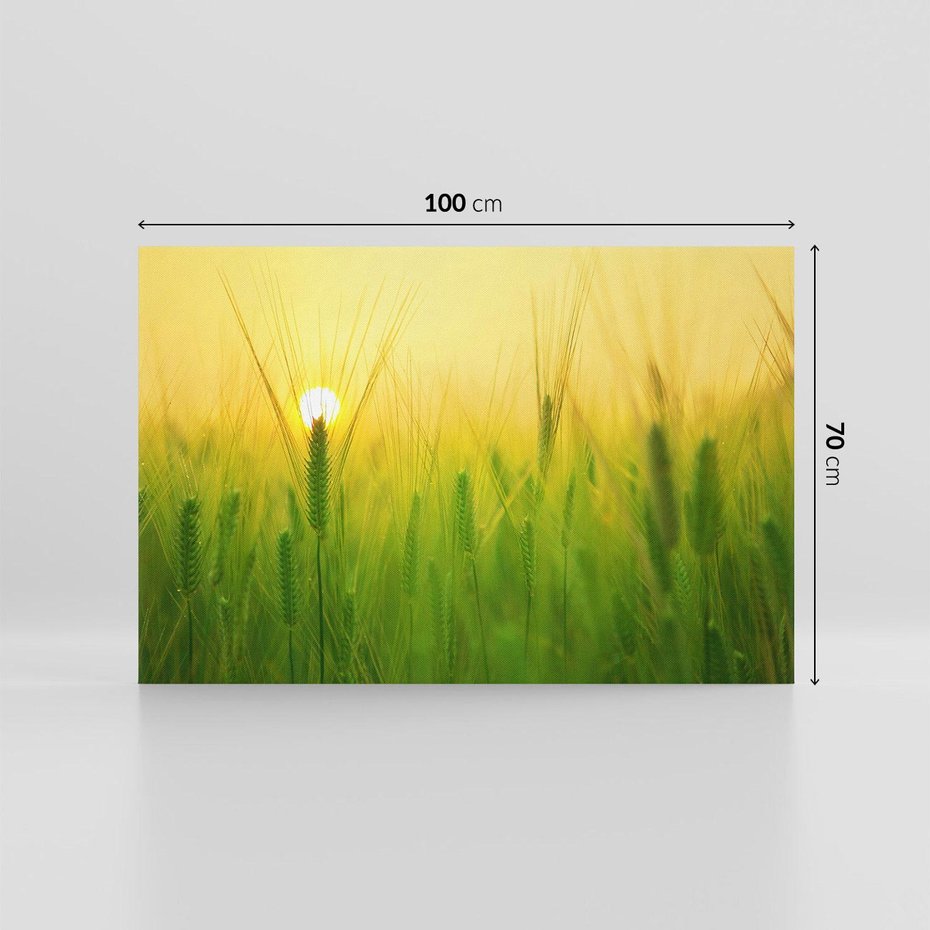 Obraz na płótnie 100x70 - Zboże w kłosach: Oda do plonów natury - zboże, kłos