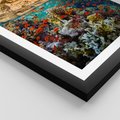 Plakat w ramie 40x50 - Rafa koralowa w oceanie - rafa, koralowa - rama czarna