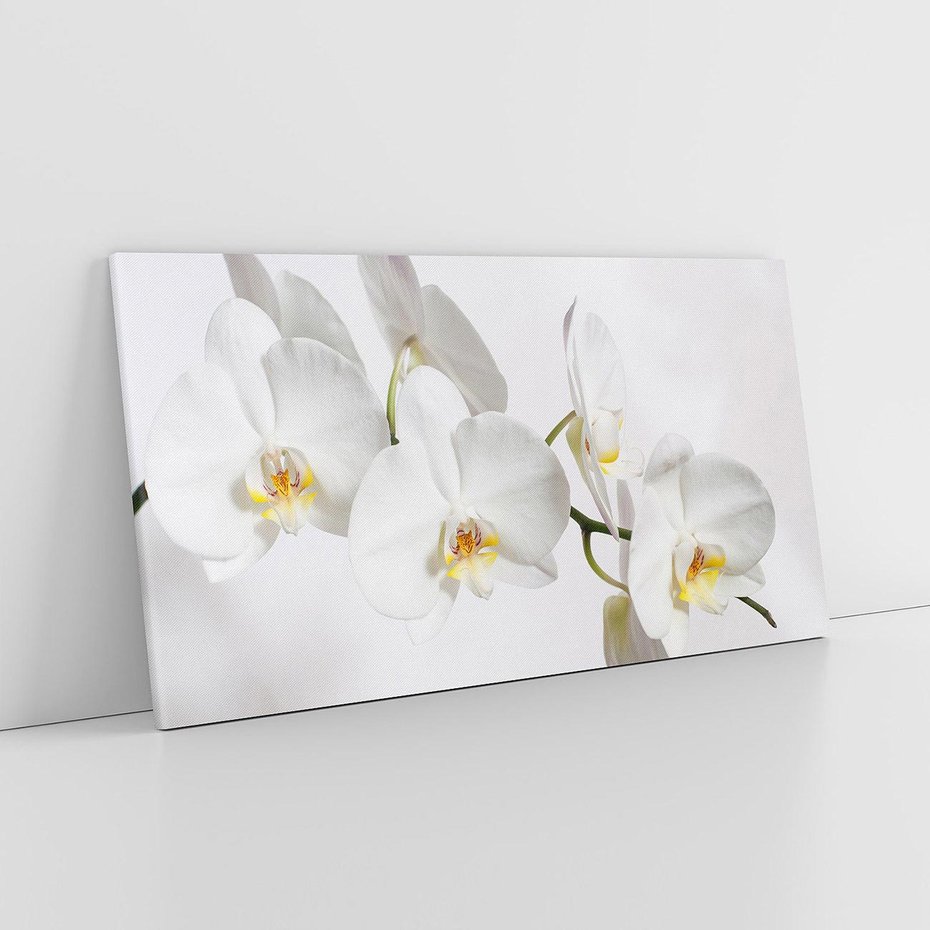 Obraz na płótnie 120x60 - Orchidea Kwiat - orchidea, kwiat