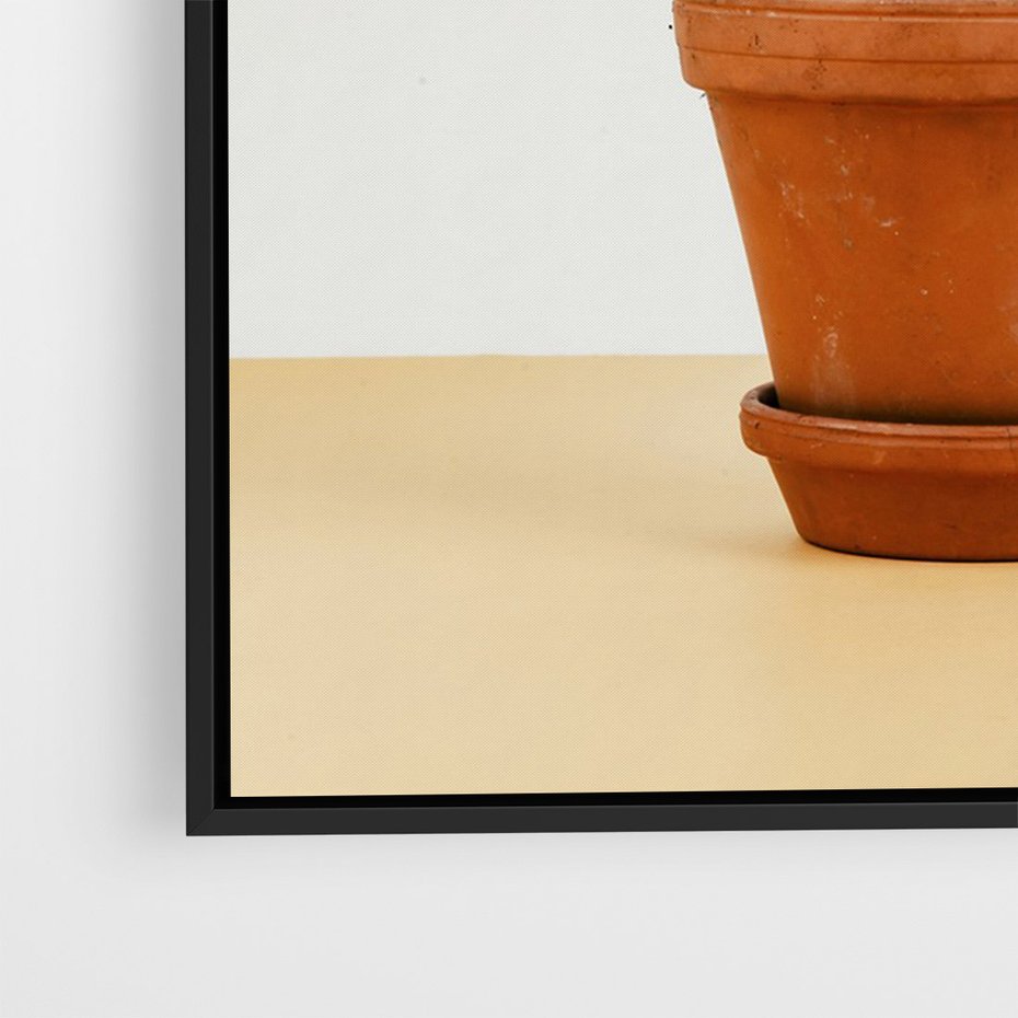 Obraz w ramie 70x100 - Kwiatowy taniec kaktusa - kaktus, kwiat - rama czarna