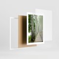 Plakat w ramie 30x40 - Spacer ścieżką przez brzozowy las - las, ścieżka - rama biała