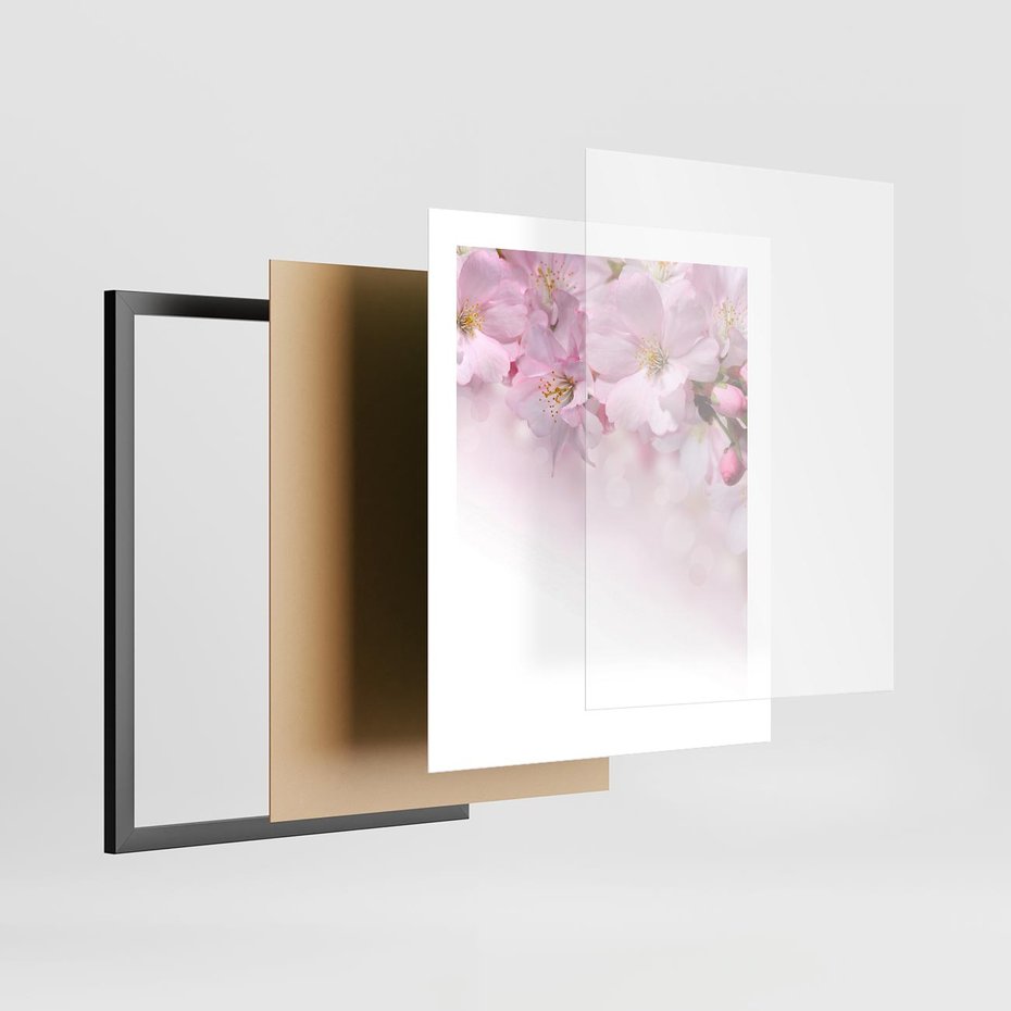 Plakat w ramie 40x50 - Kwitnąca Wiśnia - kwiaty, kwitnącej - rama czarna