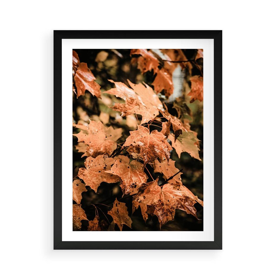 Plakat w ramie 50x70 - Ciepło Jesieni - jesienne pomarańczowe liśćie, jesień - rama czarna