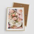 Plakat w ramie 50x70 - Kwiatowy Rarytas: Róże w Herbacianym Zbliżeniu - kwiaty, herbaciane - rama drewno