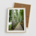 Plakat w ramie 50x70 - Spacer ścieżką przez brzozowy las - las, ścieżka - rama drewno