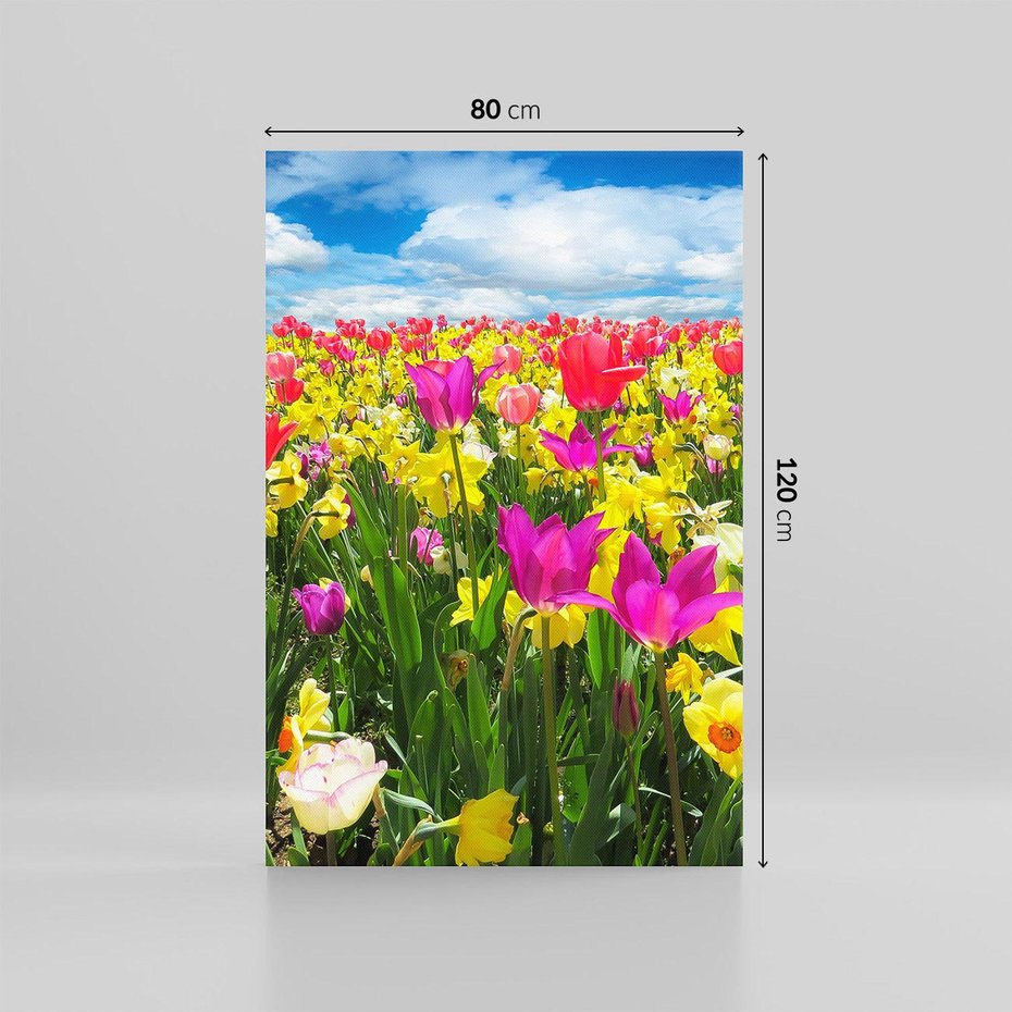 Obraz na płótnie 80x120 - tulipany na łące - kwiaty, tulipany