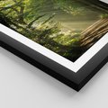 Plakat w ramie 30x40 - harmonia natury - las, drzewa - rama czarna