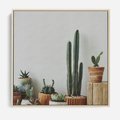 Obraz w ramie 50x50 - Naturalna Harmonia - kaktusy, liście - rama drewno