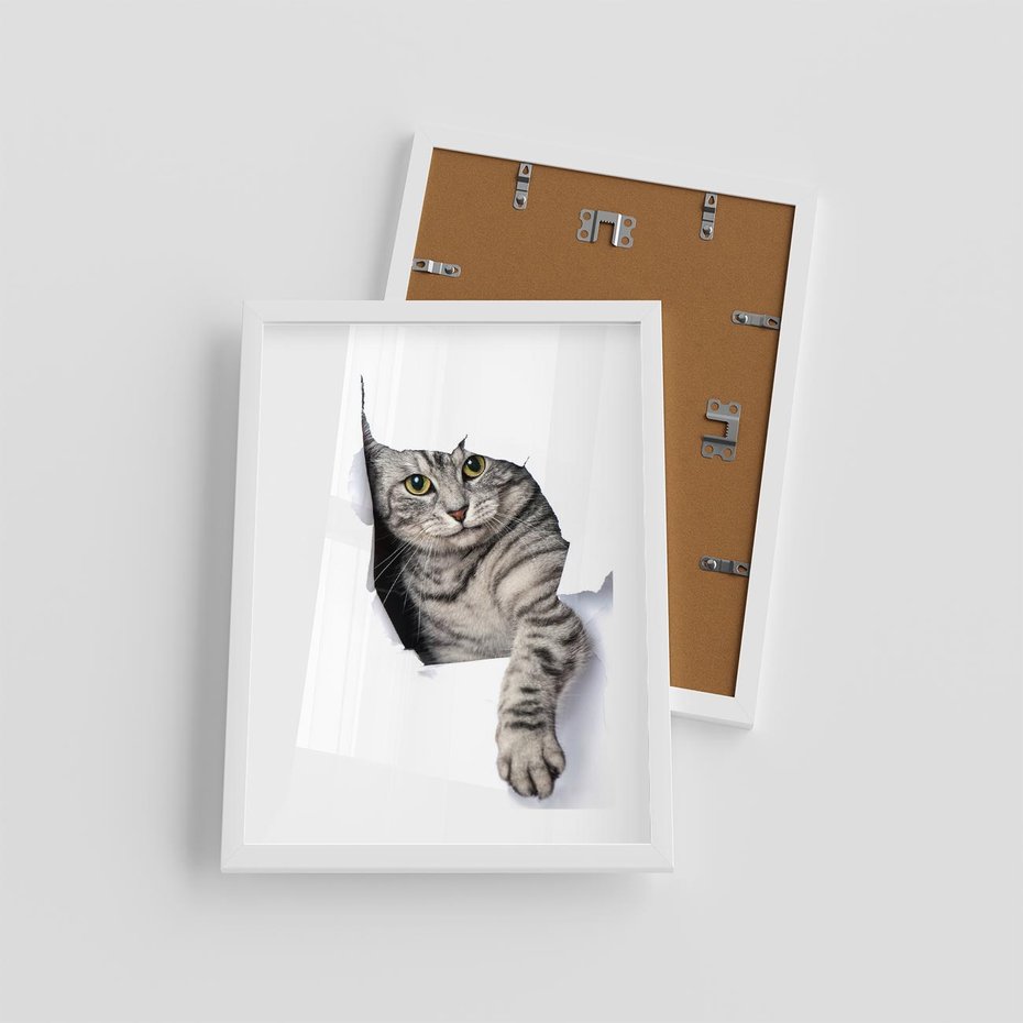 Plakat w ramie 30x40 - Tajemniczy kot i jego świat - kot, dziura - rama biała