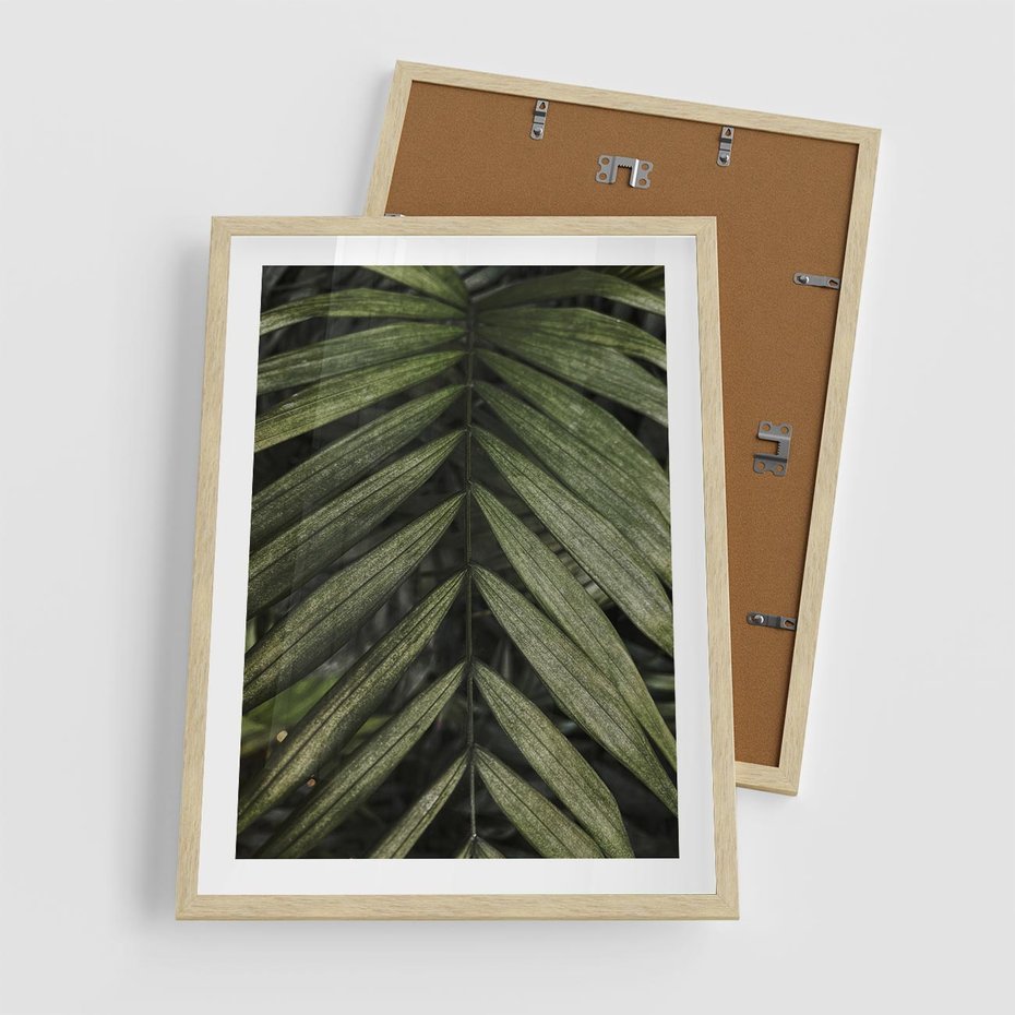 Plakat w ramie 50x70 - W Liściach Ukryte - zdjęcie, fotografia - rama drewno