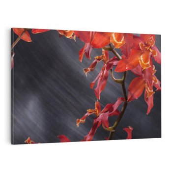 Obraz na płótnie 70x50 - Kolorowy Raj - kwiaty, tropikalne