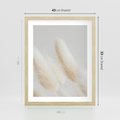 Plakat w ramie 40x50 - Czysty Minimalizm - białe trawy, minimalizm - rama drewno