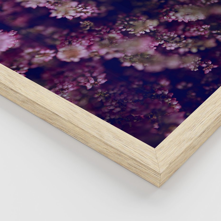 Zestaw obrazy w ramie 30x40 galeria - Wrzosy, lawenda, zachód, słońca - rama drewno