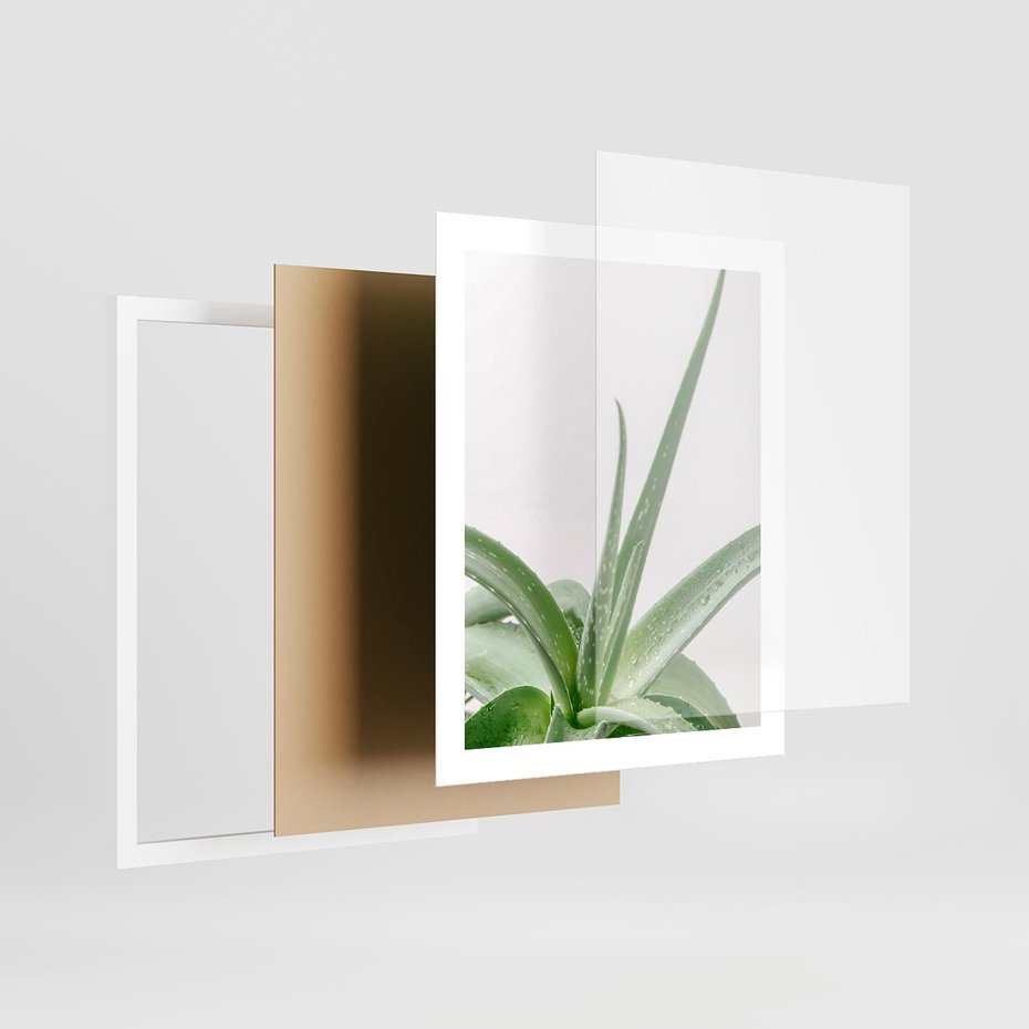 Plakat w ramie 40x50 - Zielone Piękno - aloes, liście - rama biała