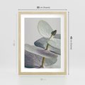 Plakat w ramie 30x40 - Zbliżenie Liści Eukaliptusa - eukaliptus, zbliżenie - rama drewno