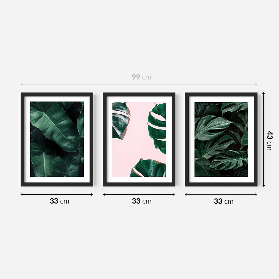 Zestaw obrazy w ramie 30x40 galeria - Monstera, liście, tło, tropikalne - rama czarna