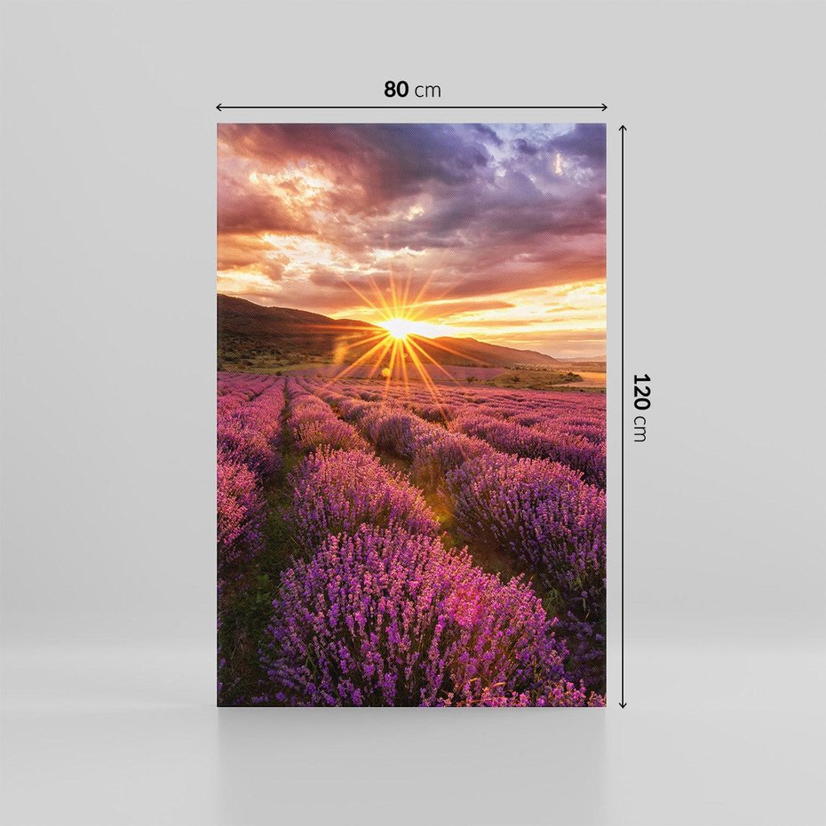 Obraz na płótnie 80x120 - Lawenda: Pachnące pole kwiatów - kwiaty, lawenda