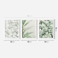 Zestaw obrazy w ramie 50x70 galeria - Liście, zieleń, minimalizm - rama biała