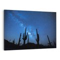 Obraz na płótnie 100x70 - Kaktusy - Niebo z gwiazdami - kaktusy, niebo