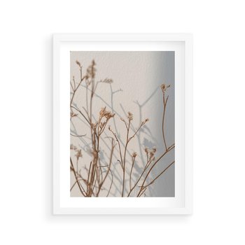 Plakat w ramie 50x70 - Boho gałązki suche - gałązki, suche - rama biała
