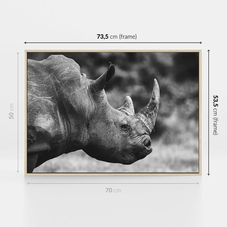Obraz w ramie 70x50 - Potęga Afryki - czarno biała fotografia, zbliżenie na postać nosorożca - rama drewno
