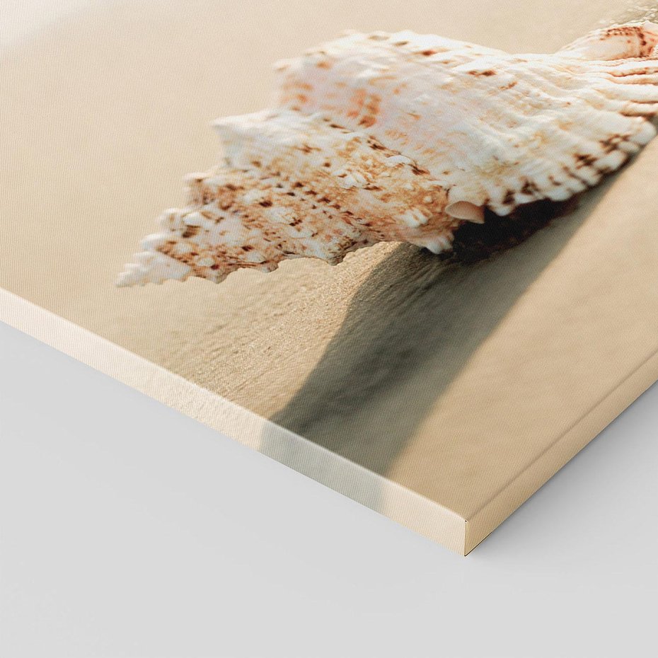 Obraz na płótnie 120x80 - Urok plażowej muszelki - fotografia, muszla na plaży