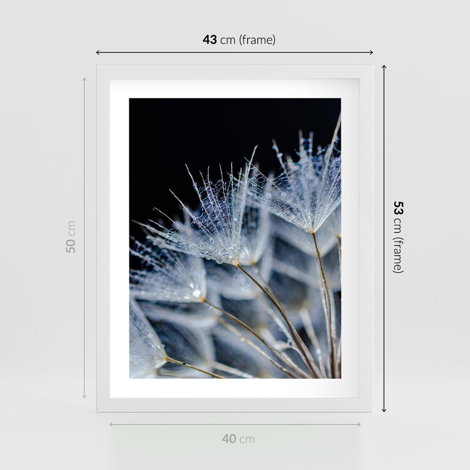 Plakat w ramie 40x50 - Makro piękno dmuchawców - makro, dmuchawce - rama biała