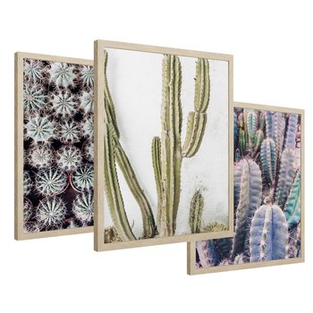 Zestaw obrazy w ramie 40x50 galeria - Kaktusy, liście, boho - rama drewno
