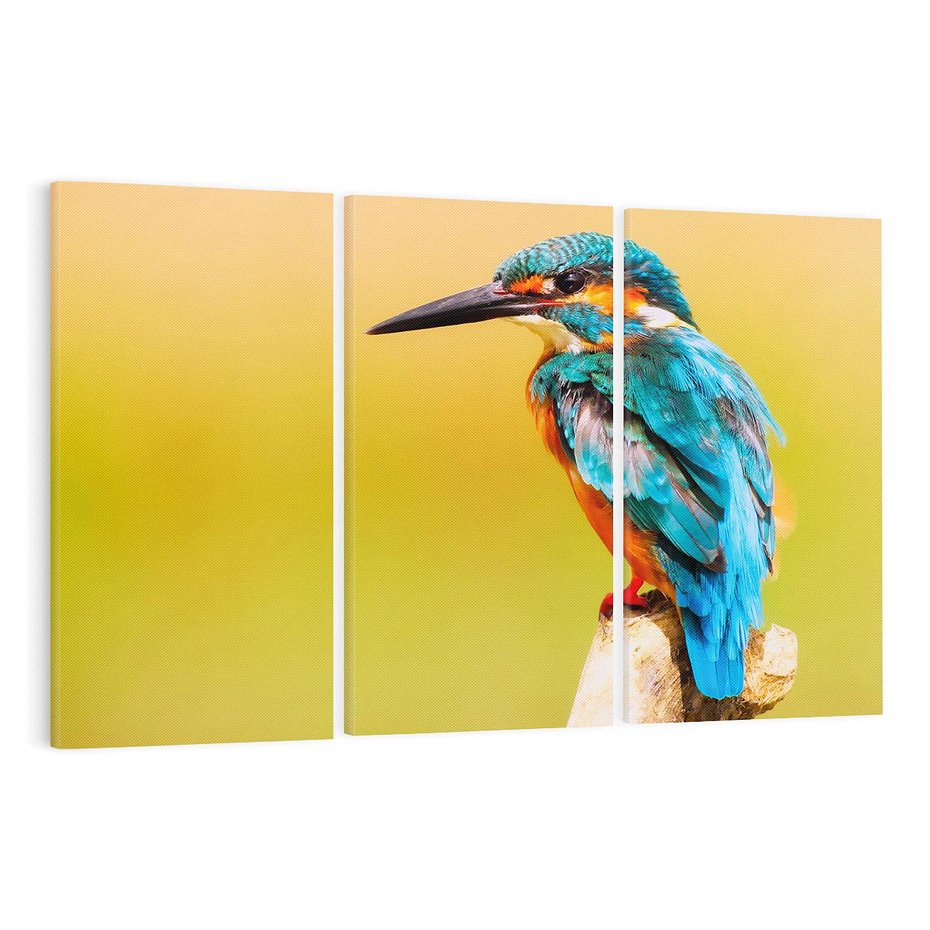 Obraz na płótnie 120x80 - Koliber: Kolorowy taniec w powietrzu - koliber, ptak