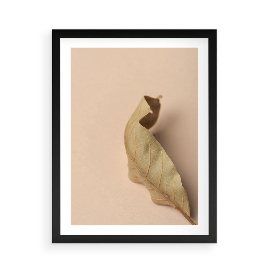Plakat w ramie 50x70 - Boho suszone liście - suszony, liść - rama czarna