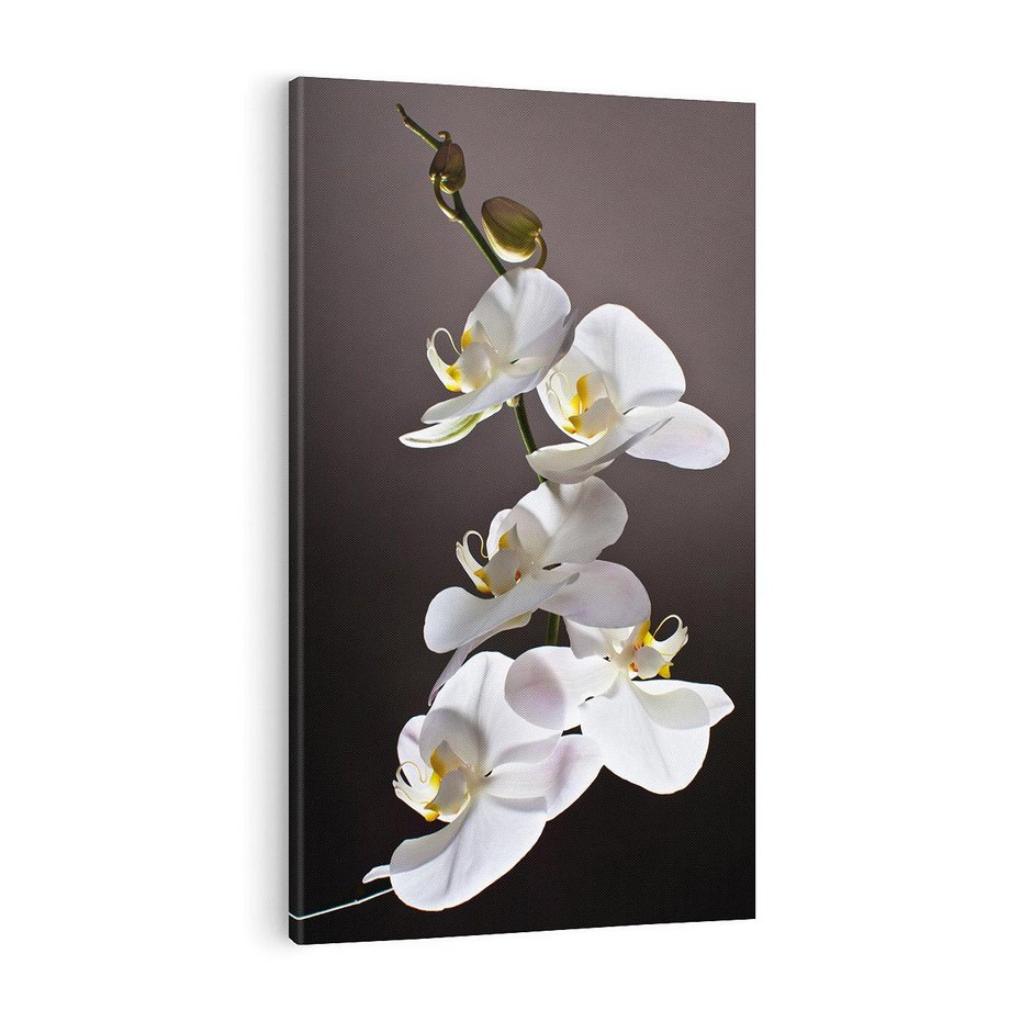 Obraz na płótnie 70x100 - SPA: harmonia z kwiatami - spa, kwiaty