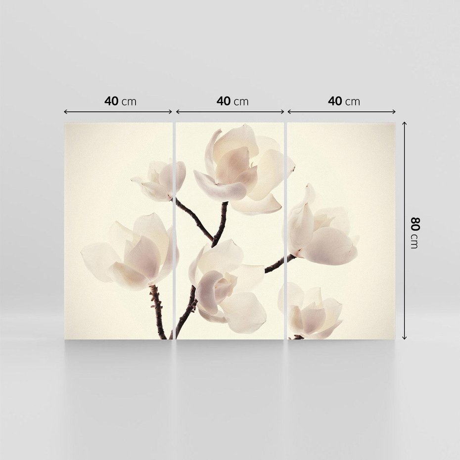 Obraz na płótnie 120x80 - Elegancja Natury - magnolia, białe