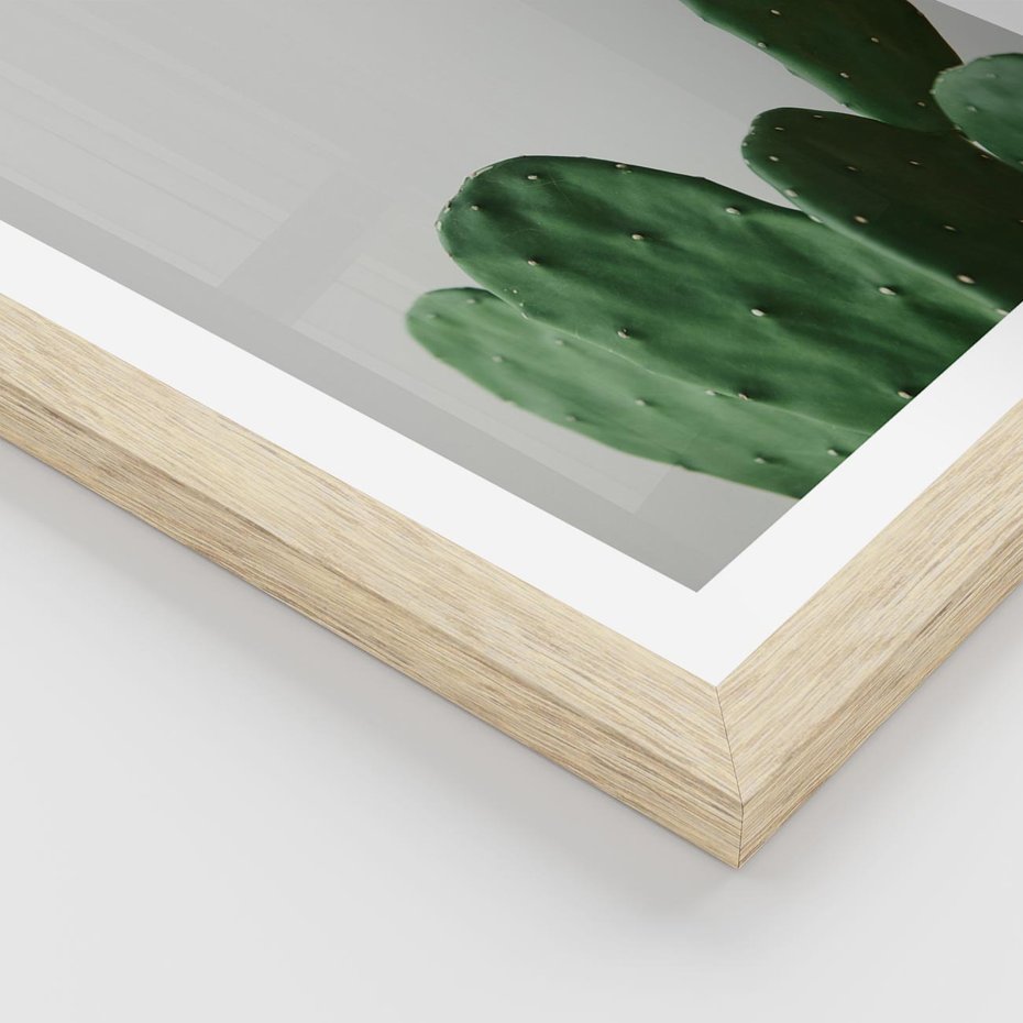 Plakat w ramie 30x40 - Majestatyczne Wysokości - kaktusy, liście - rama drewno