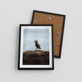 Plakat w ramie 30x40 - Portret Ptaka Morskiego - maskonur, ptak - rama czarna
