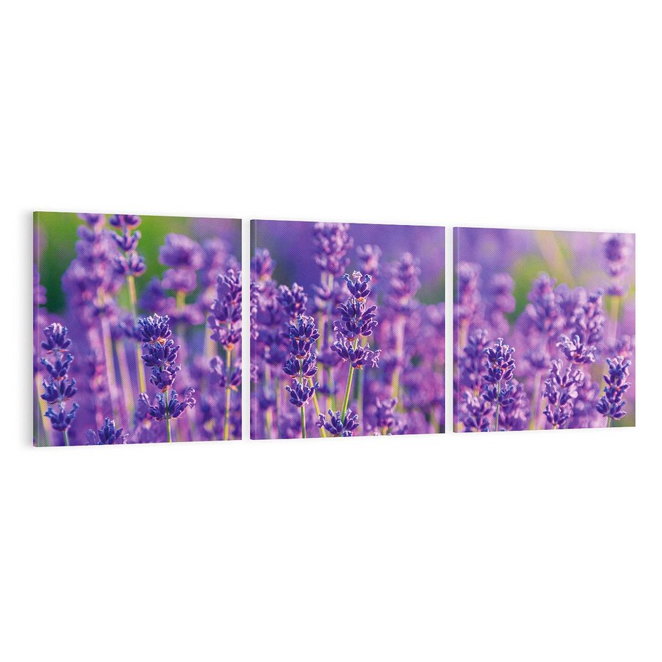Obraz na płótnie 120x40 - Zaklęta lawenda - lawenda, kwiaty