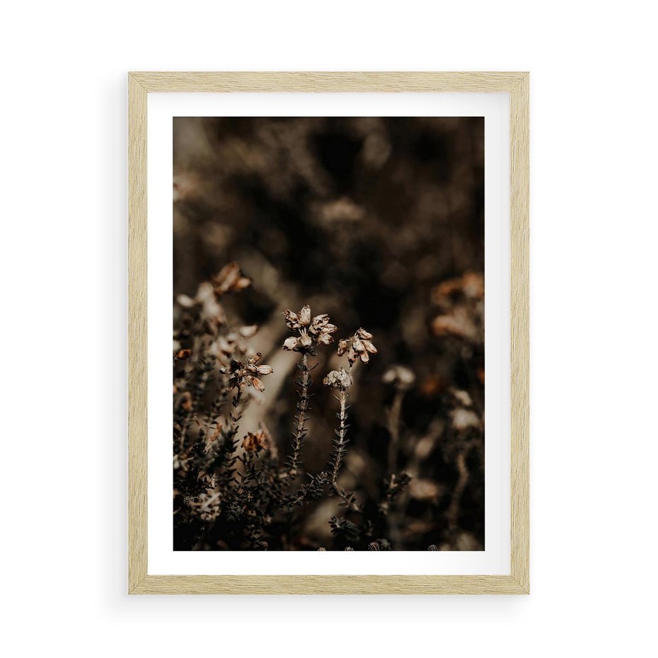 Plakat w ramie 50x70 - Jesienny Urok - suche trawy, jesienny pejzaż - rama drewno