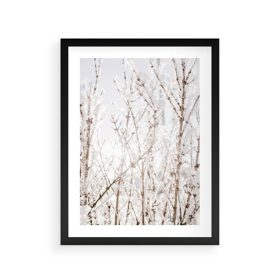 Plakat w ramie 30x40 - Szron na Gałęziach - ośnieżone gałązki, szron na gałęziach - rama czarna