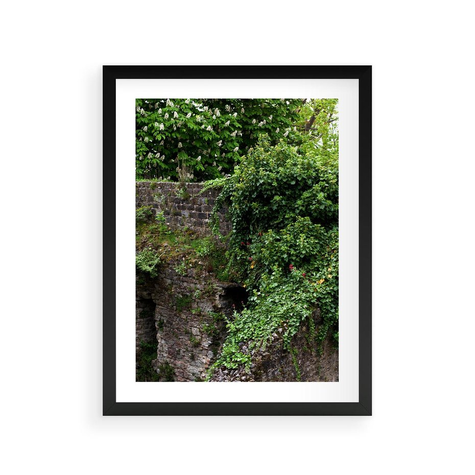 Plakat w ramie 30x40 - Żywiołowa Zieleń - mur, liście - rama czarna