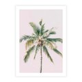 Plakat bez ramy 50x70 - Błogość Tropików - palma, tropiki