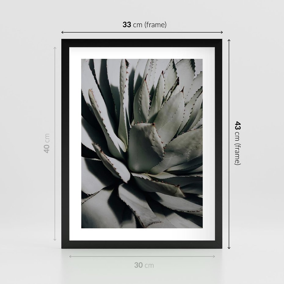Plakat w ramie 30x40 - Sukulenty wśród kaktusów - sukulenty, kaktusy - rama czarna