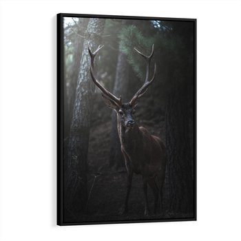 Obraz w ramie 50x70 - Jeleń wśród lasu - jeleń, las - rama czarna