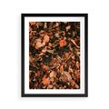 Plakat w ramie 40x50 - Jesienny Splot: Pomarańczowe Liście - liście, pomarańczowe suche liście - rama czarna