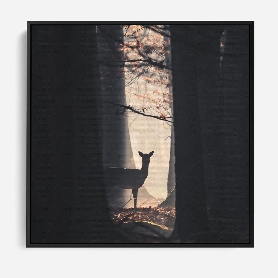 Obraz w ramie 50x50 - Sarnie Skoki - zdjęcie, klimatyczny las - rama czarna