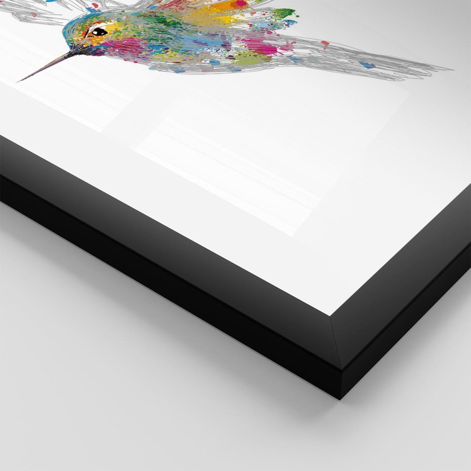 Plakat w ramie 50x70 - Koliber w akwareli - akwarela, koliber - rama czarna