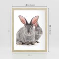 Plakat w ramie 40x50 - Uroczy królik wśród natury - królik, zając - rama drewno