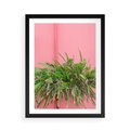 Plakat w ramie 50x70 - Fotografia Rośliny z Różowym Tłem - fotografia, zielona roślina na tle różwj ściany - rama czarna