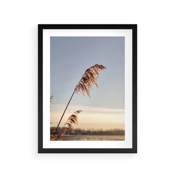 Plakat w ramie 30x40 - Naturalna Delikatność - trawy, boho - rama czarna