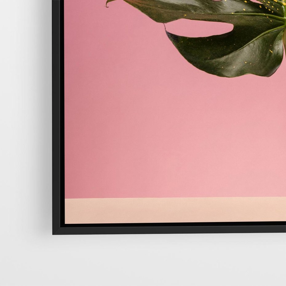 Obraz w ramie 50x50 - Majestatyczna monstera - monstera, liść - rama czarna