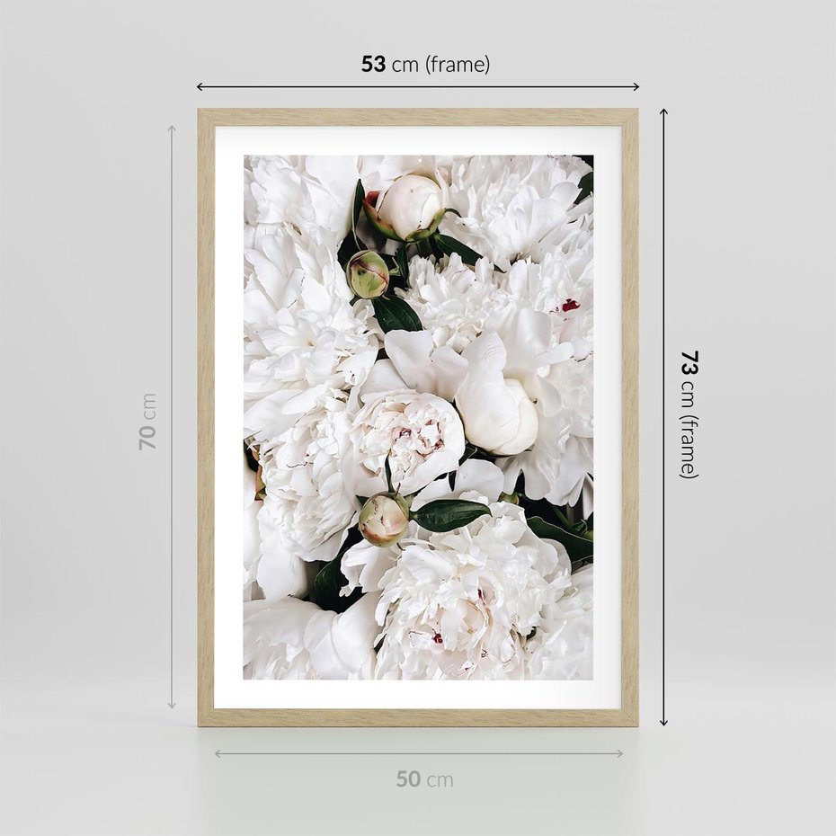Plakat w ramie 50x70 - Modne Białe Kwiaty - białe kwiaty, płatki - rama drewno