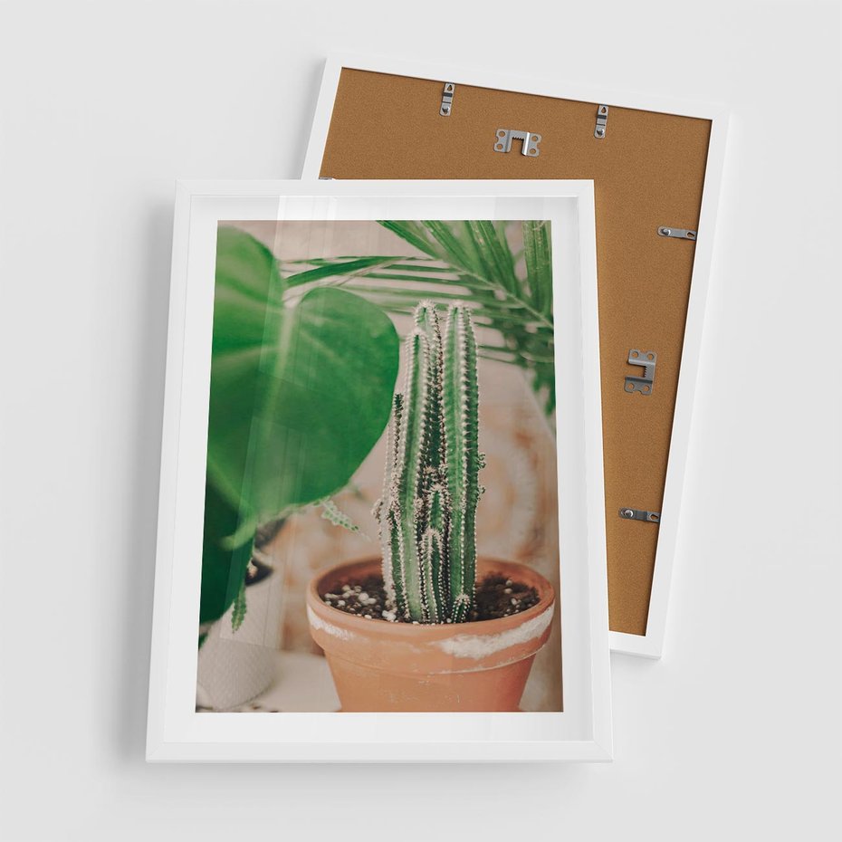 Plakat w ramie 50x70 - Boho Urok - kaktus w doniczce, gliniana doniczka - rama biała